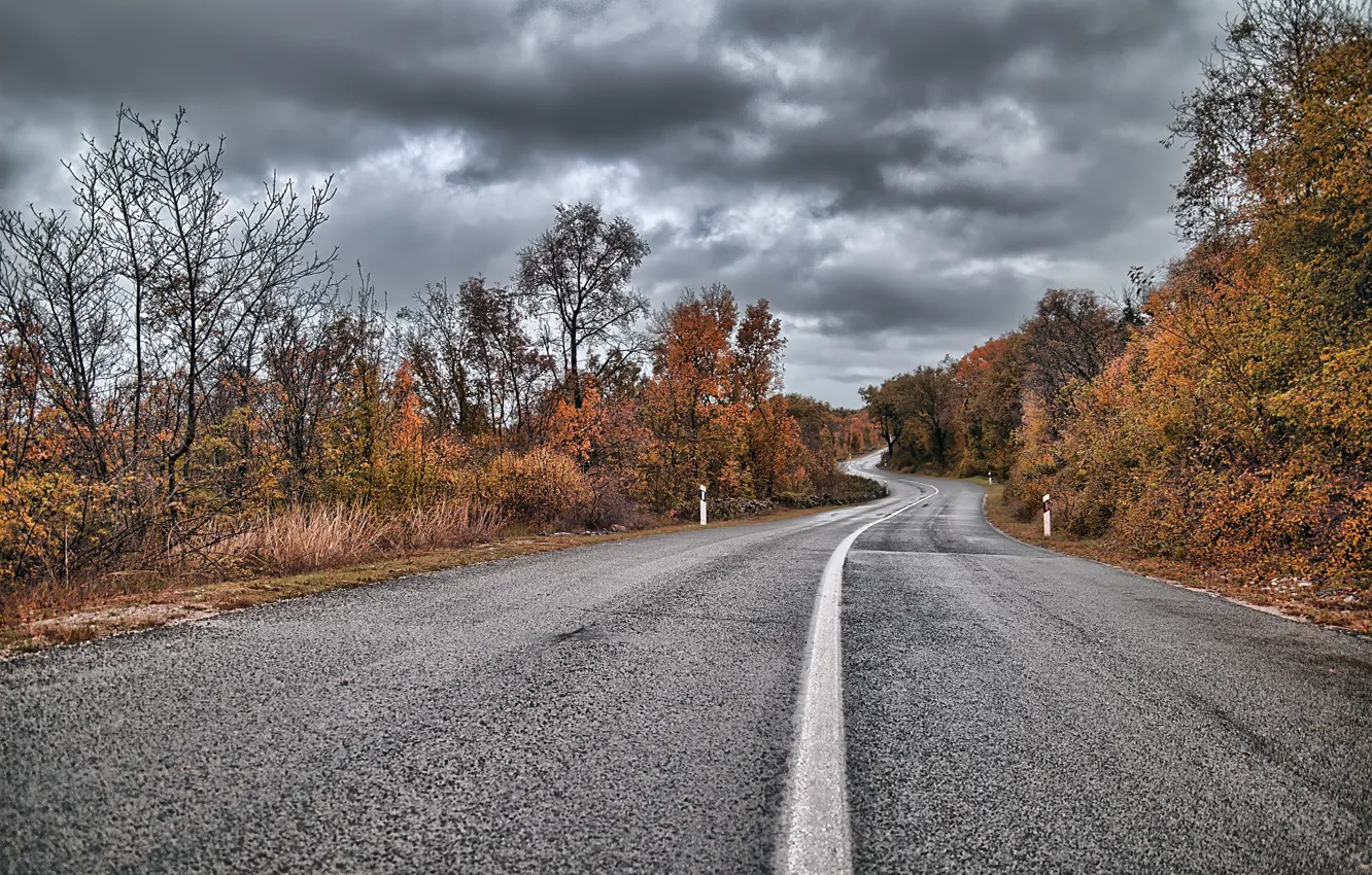 Фото обои road, autumn, cloudy