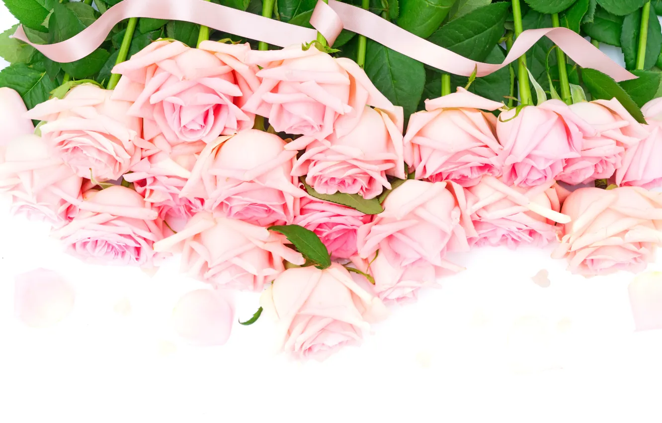 Фото обои розы, букет, pink, flowers, roses, розовые розы