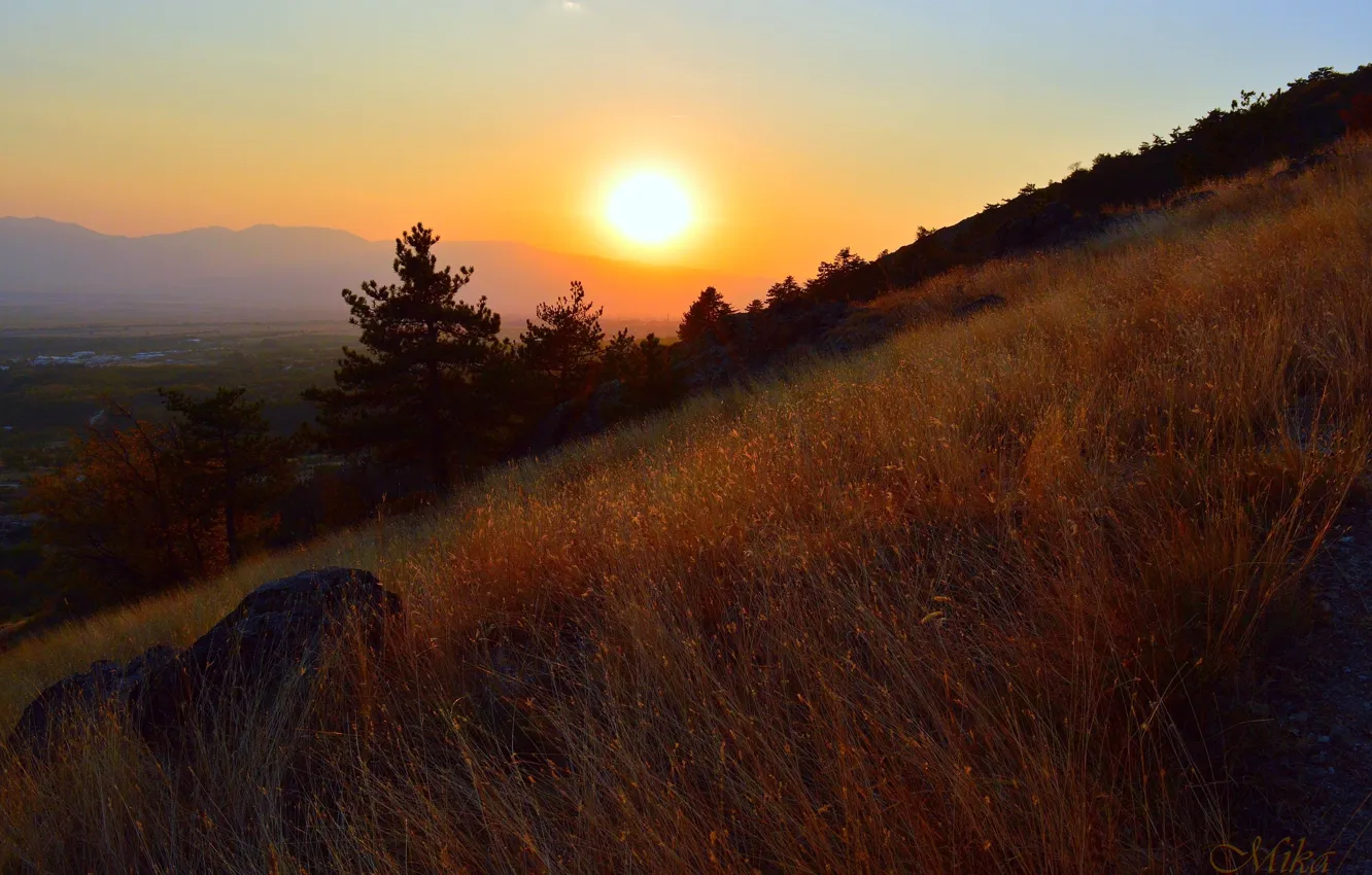 Фото обои Закат, Поле, Sunset, Степь