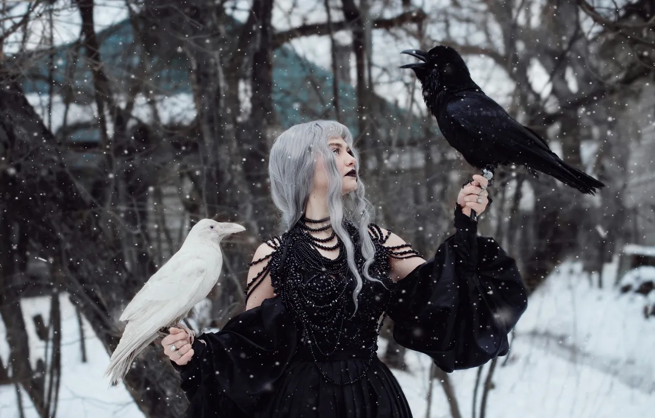 Фото обои зима, взгляд, девушка, снег, птицы, природа, поза, дом