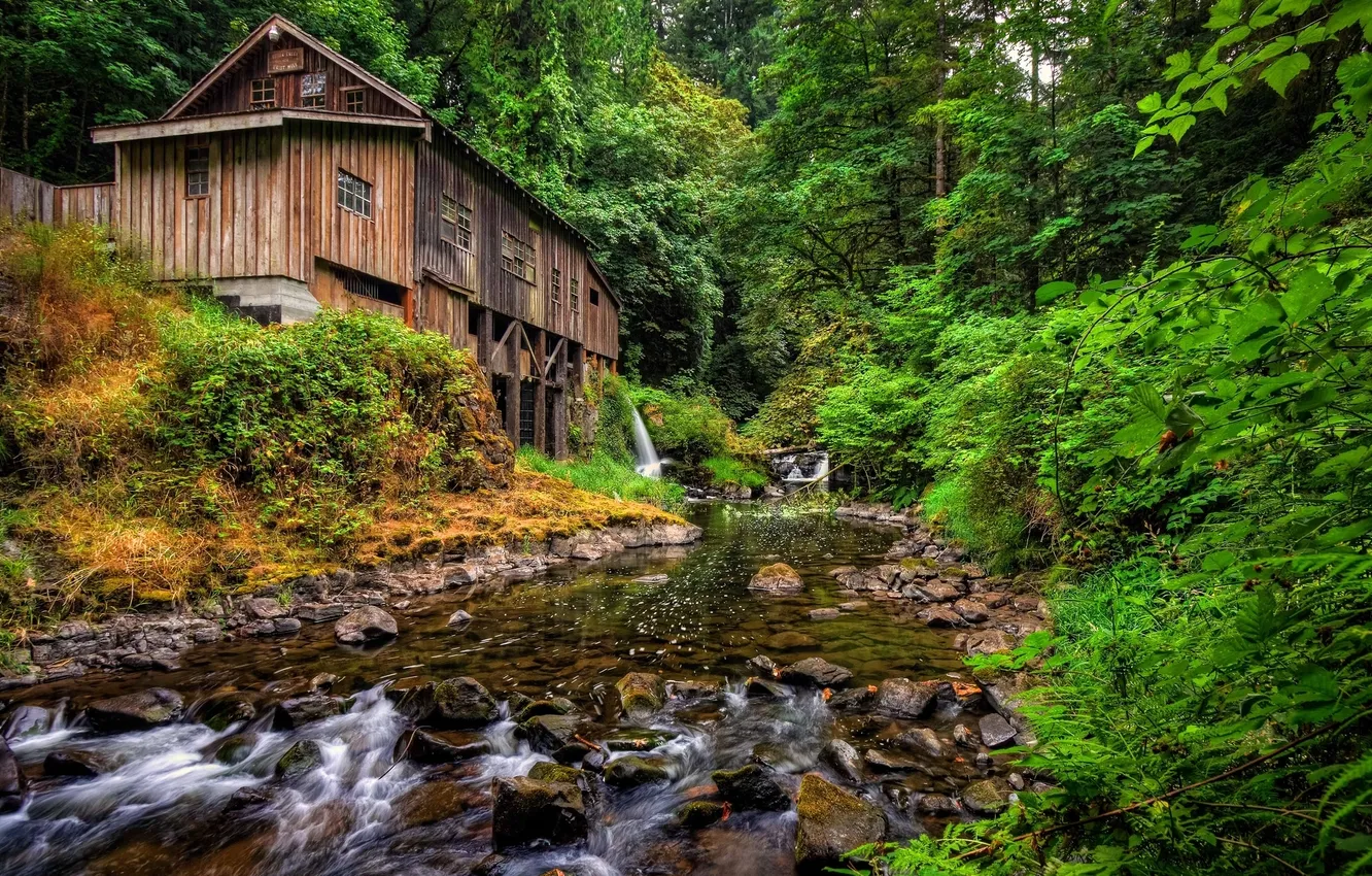 Фото обои лес, река, мельница, Washington, штат Вашингтон, Woodland, Вудленд, Cedar Creek Grist Mill