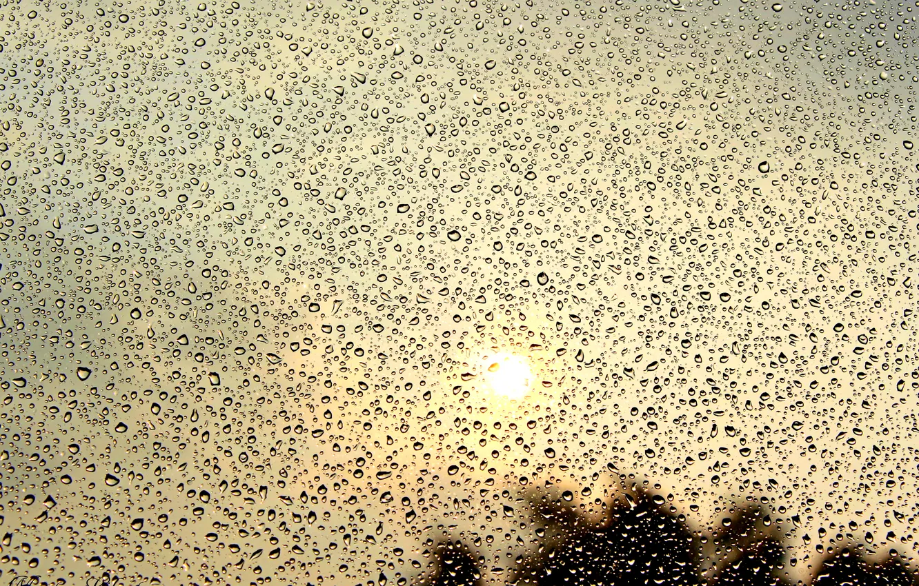 Фото обои лето, солнце, дождь, Капли, тепло., капли на стекле