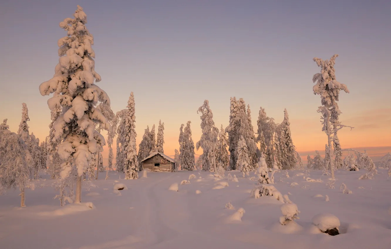 Фото обои зима, снег, деревья, ели, домик