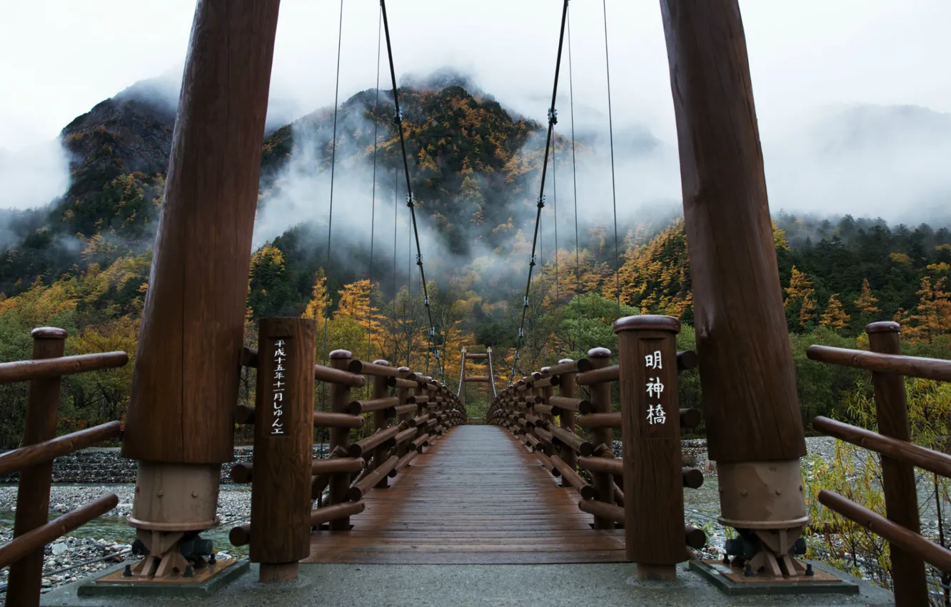 Фото обои деревья, мост, туман, Япония, Japan