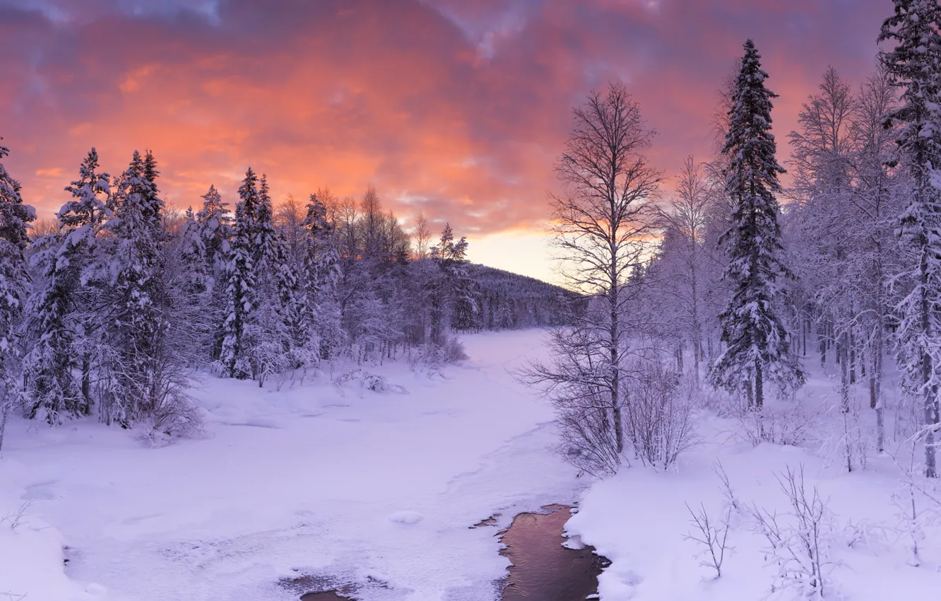 Фото обои зима, лес, облака, снег, деревья, ручей, вечер, Финляндия