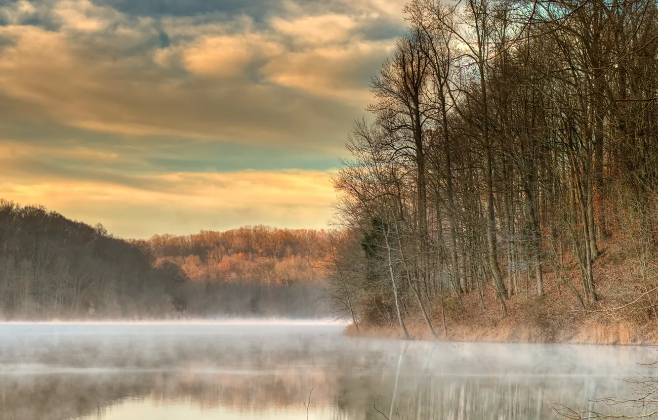 Фото обои Landscape, fog, Tucker Lake