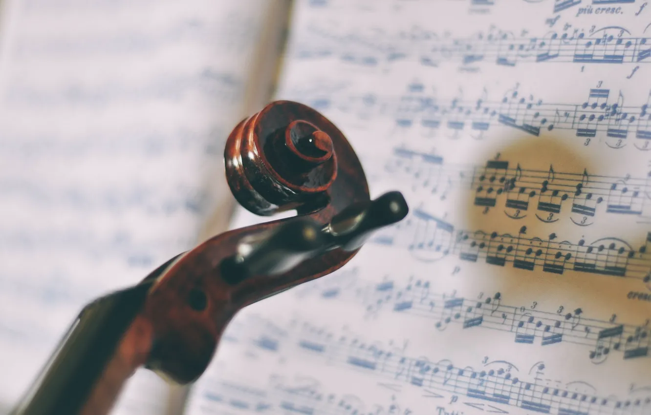 Фото обои ноты, музыка, violin
