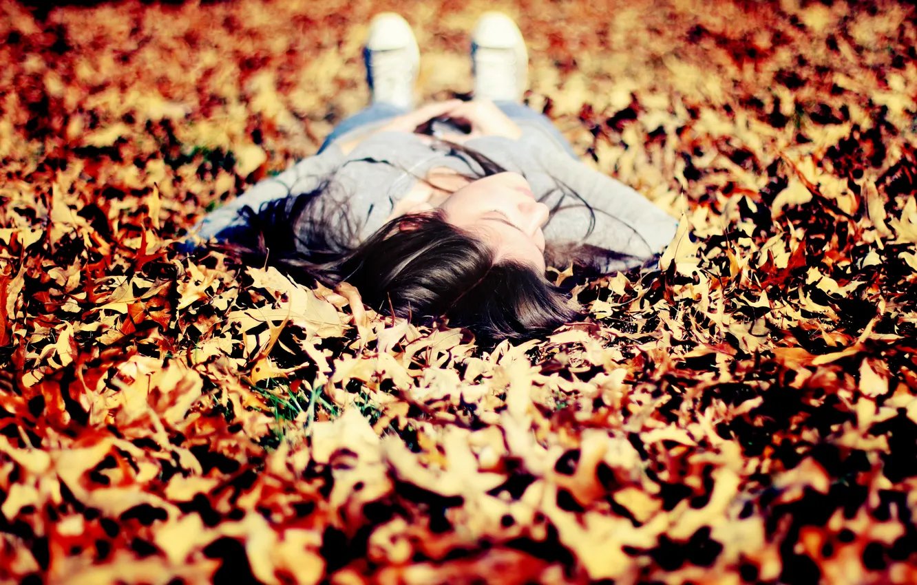 Фото обои осень, листья, девушка, лежит