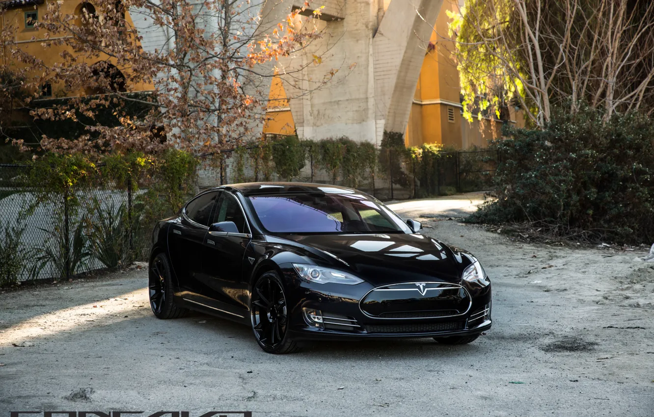 Фото обои машина, осень, деревья, оптика, перед, auto, Black, Tesla