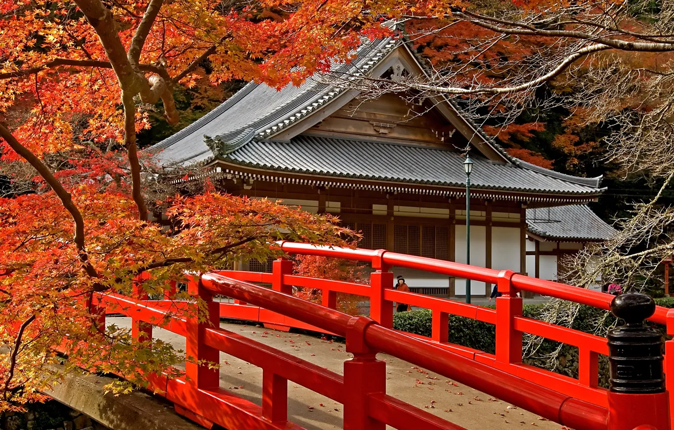 Фото обои дорога, осень, листья, деревья, мост, Япония, храм, Japan