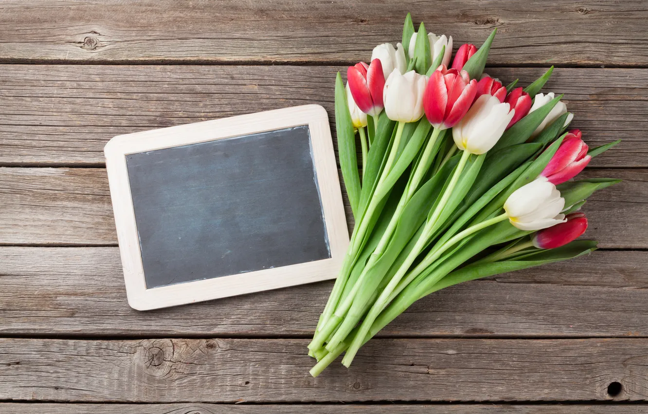 Фото обои цветы, букет, тюльпаны, red, white, wood, flowers, tulips