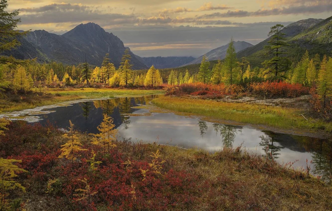 Фото обои осень, лес, пейзаж, горы, природа, ручей, Владимир Рябков, Колыма
