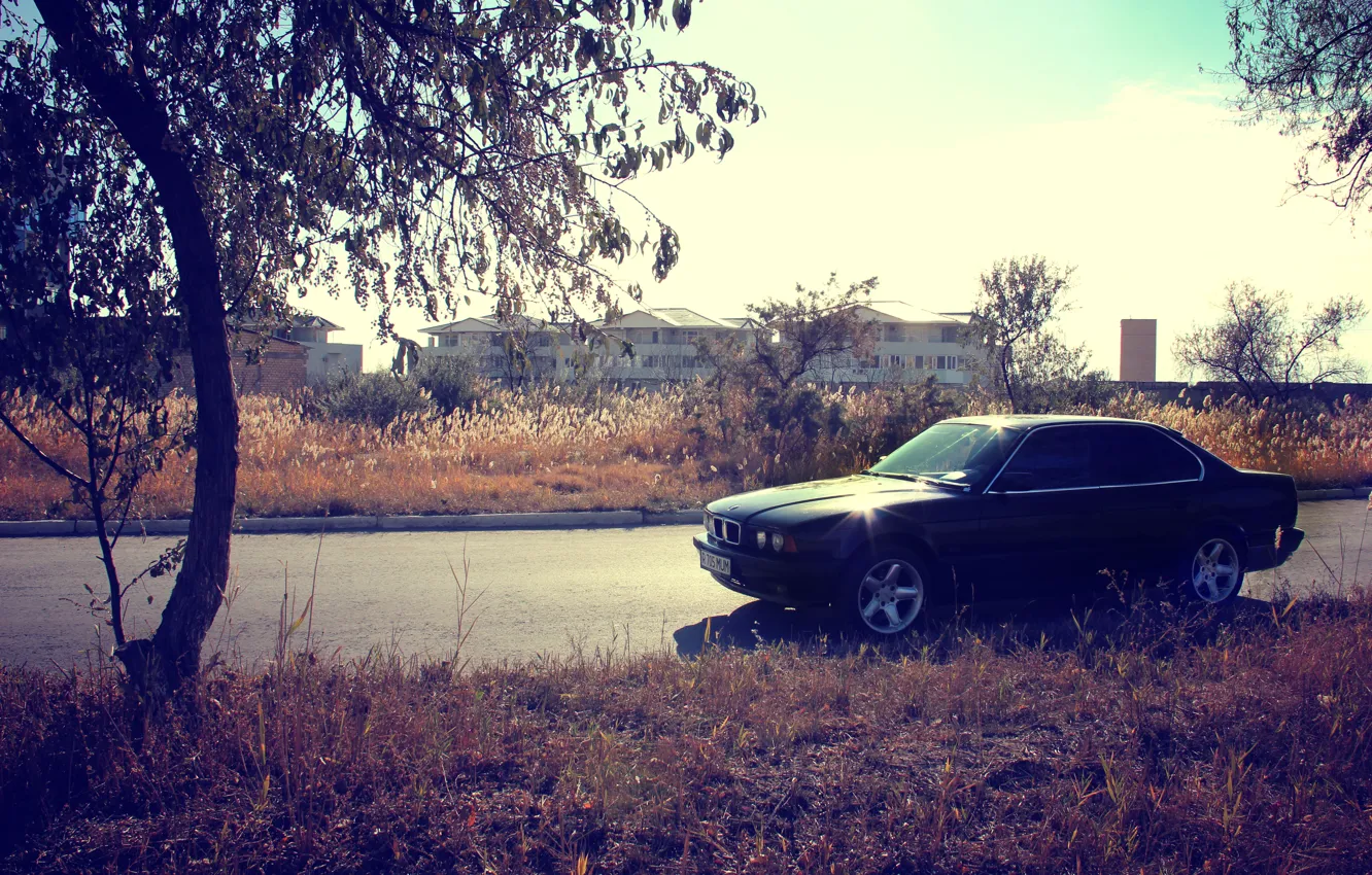 Фото обои машина, осень, трава, закат, дерево, bmw, бмв