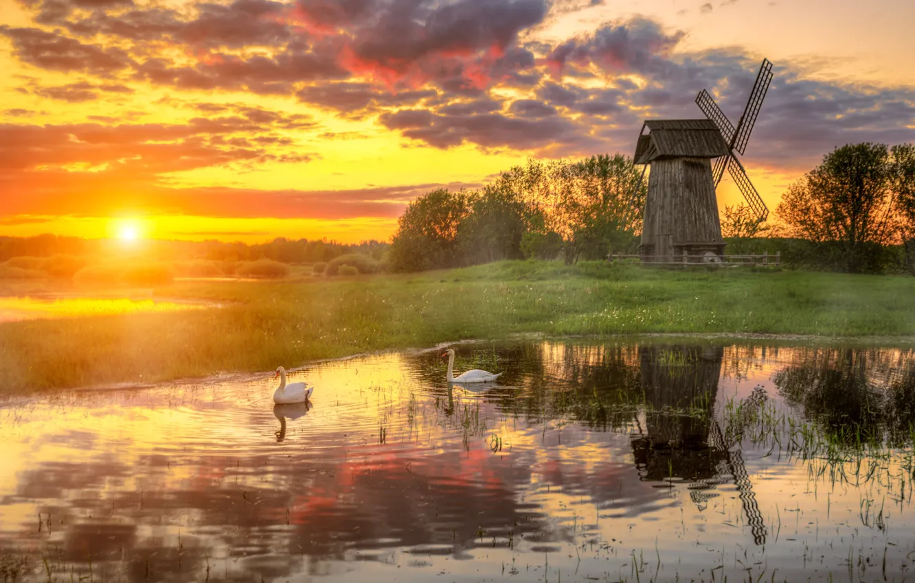 Фото обои небо, облака, закат, природа, река, весна, мельница, лебеди