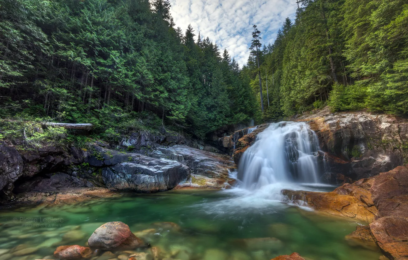 Фото обои лес, река, водопад, Канада, Canada, British Columbia, Британская Колумбия, Lower Falls