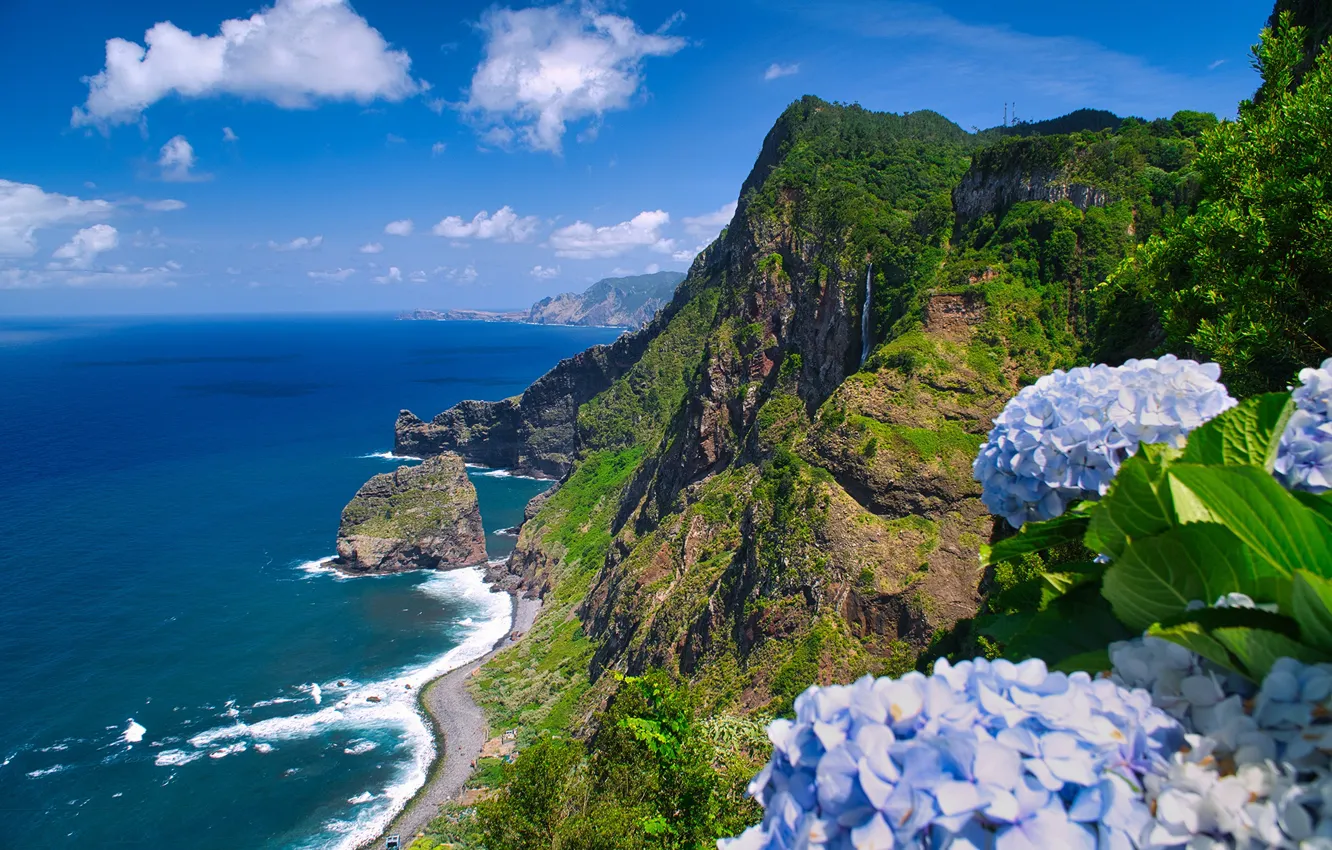 Фото обои небо, цветы, горы, океан, вид, Португалия, гортензия, Madeira
