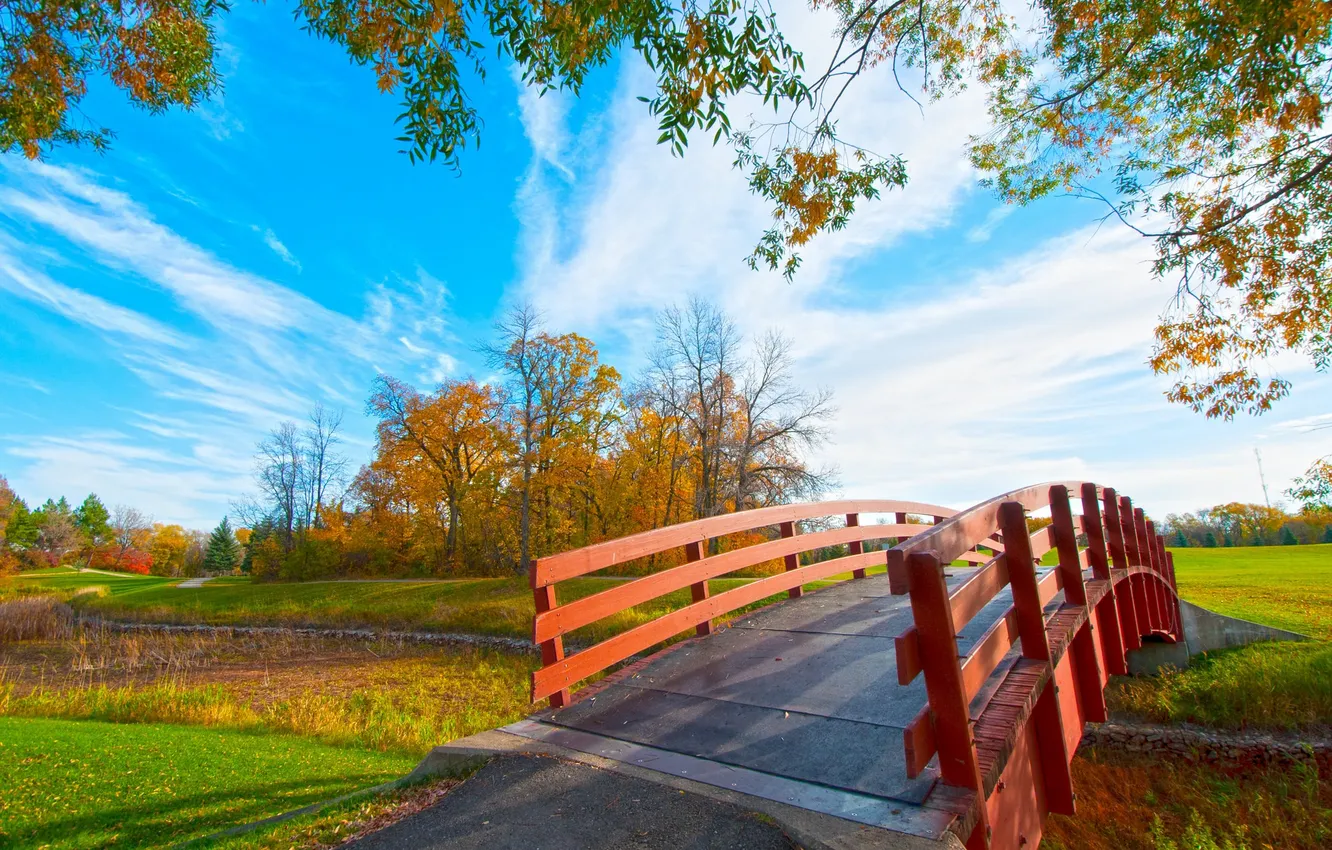 Фото обои осень, небо, трава, облака, деревья, парк, мостик
