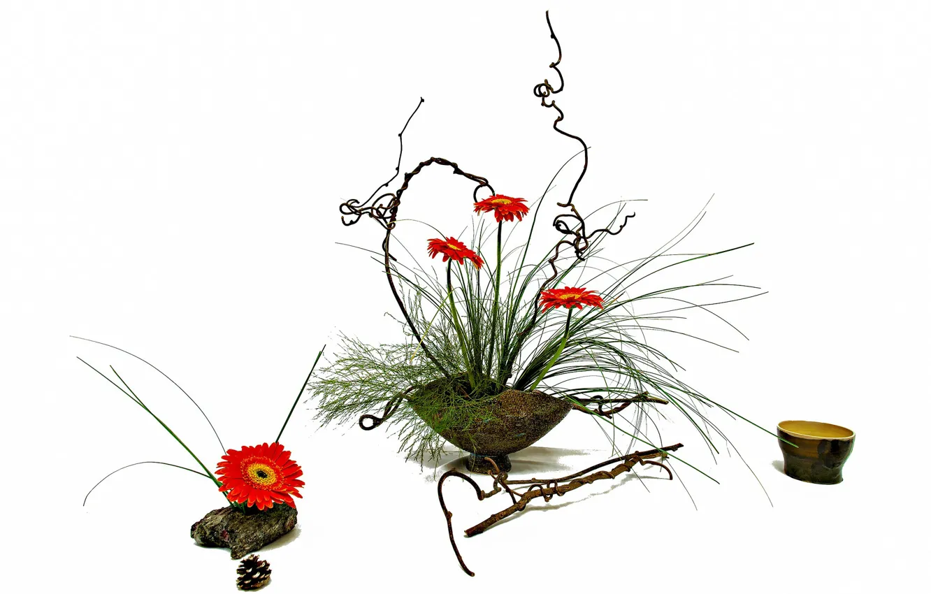 Фото обои цветы, Япония, натюрморт, икебана
