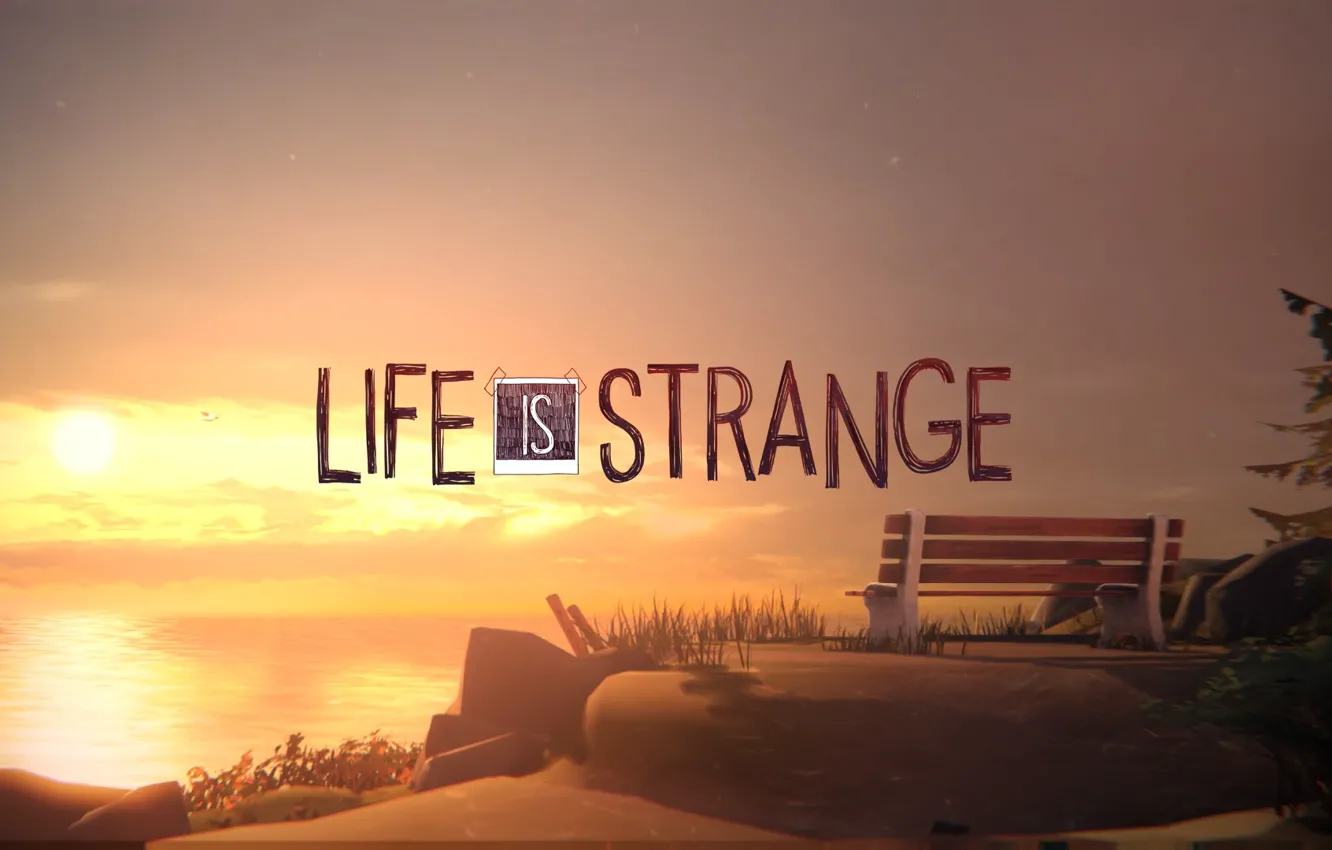 Фото обои лес, закат, лавочка, forest, sunset, bench, pier, Life is Strange
