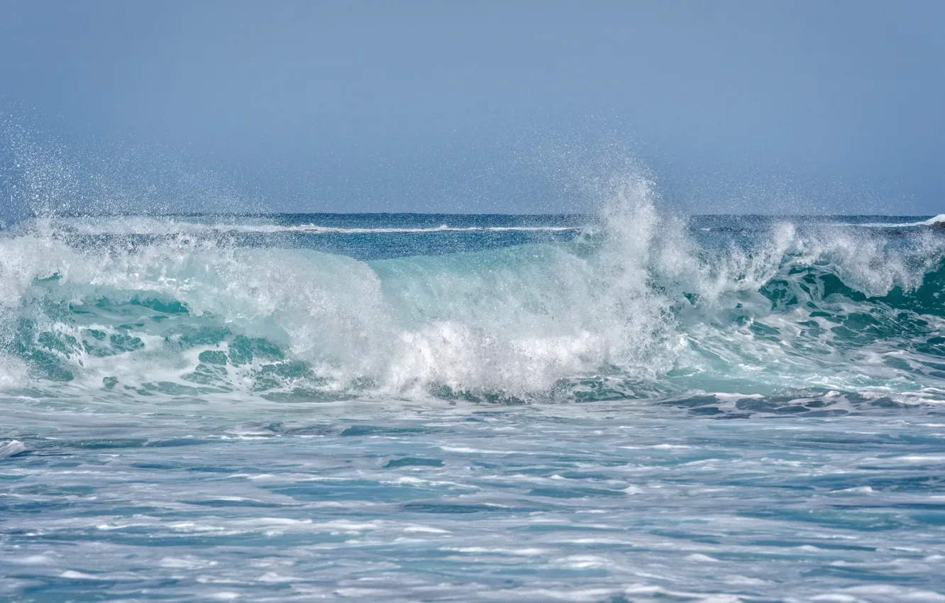 Фото обои океан, волна, Гавайи, Hawaii, Мауи, Maui, Napili Bay