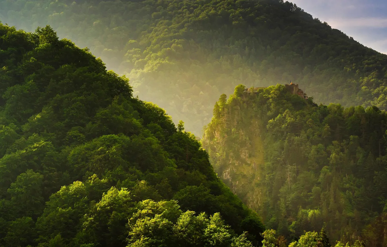 Фото обои деревья, замок, Румыния, горы Фэгэраш, Поенари