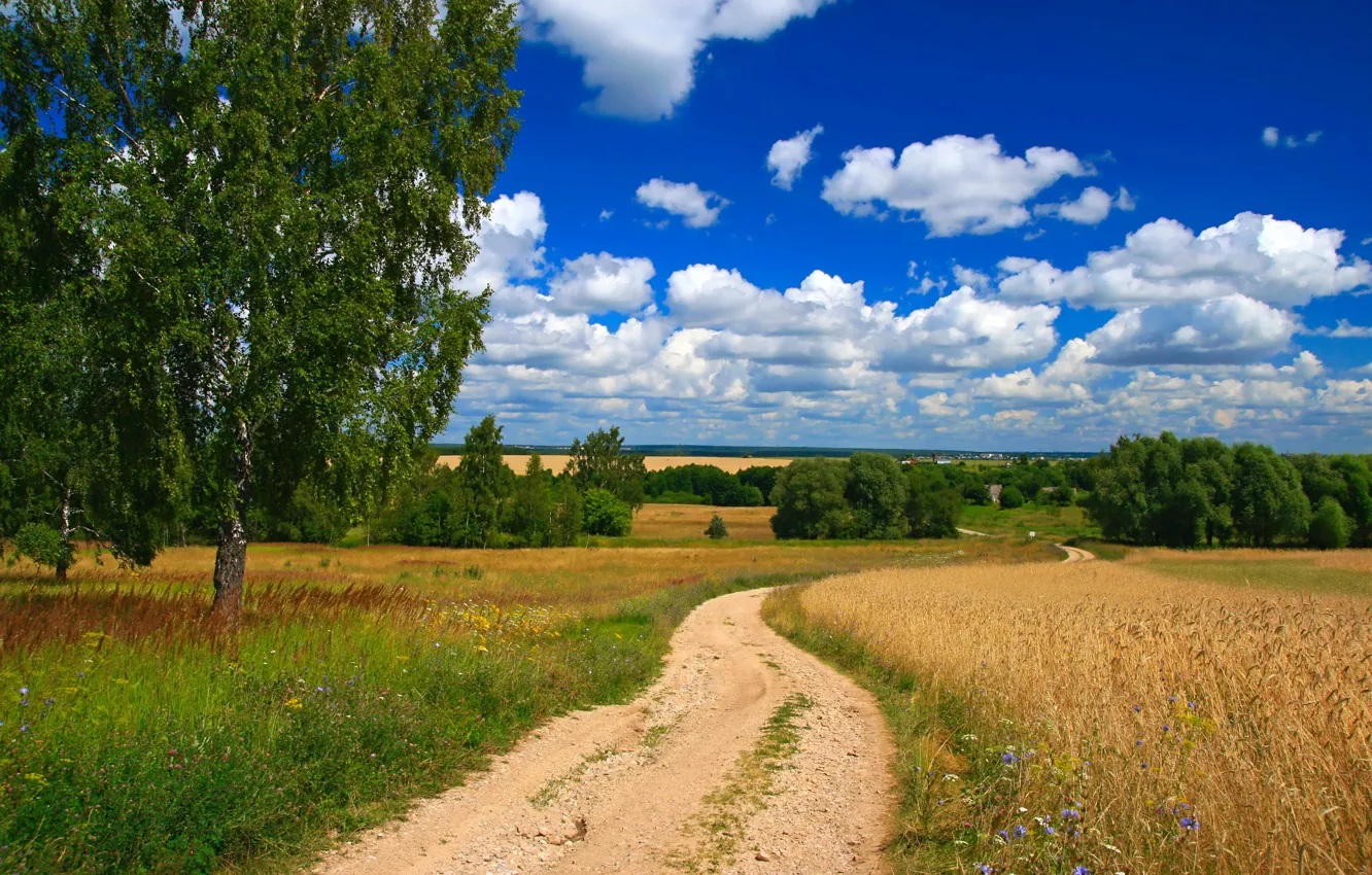 Фото обои дорога, поле, небо, облака, деревья, простор