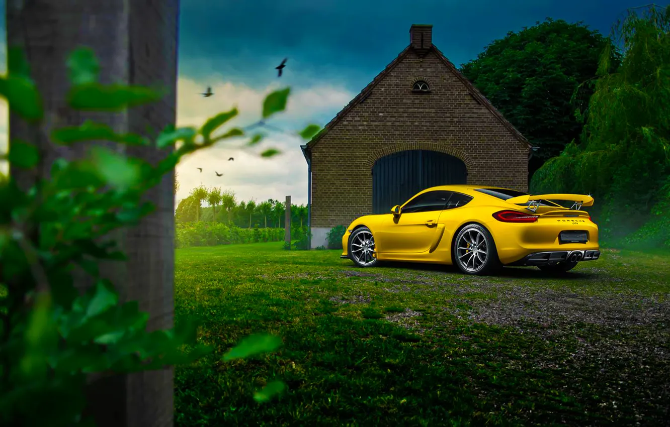 Фото обои Porsche, Cayman, Car, Nature, Color, Yellow, Summer, GT4