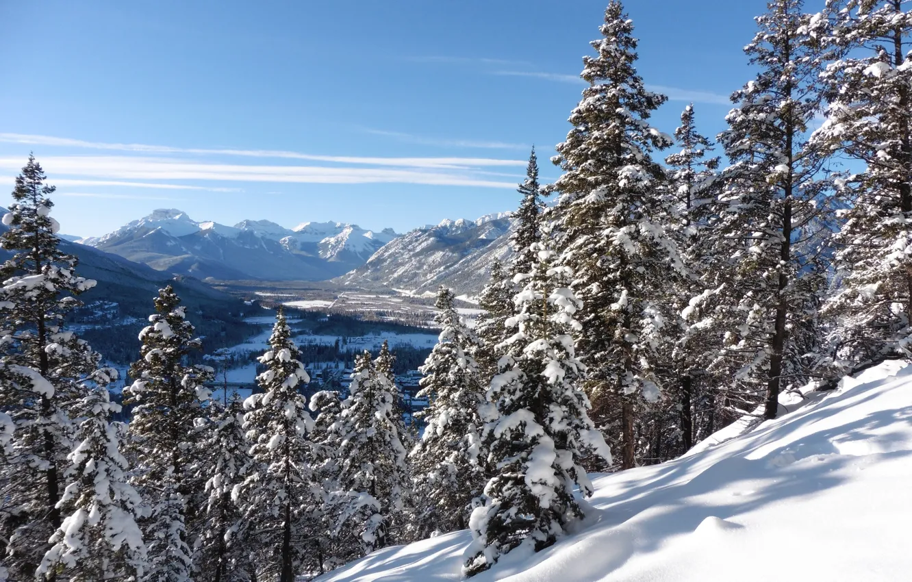 Фото обои зима, снег, деревья, горы, ели, долина, Канада, Альберта