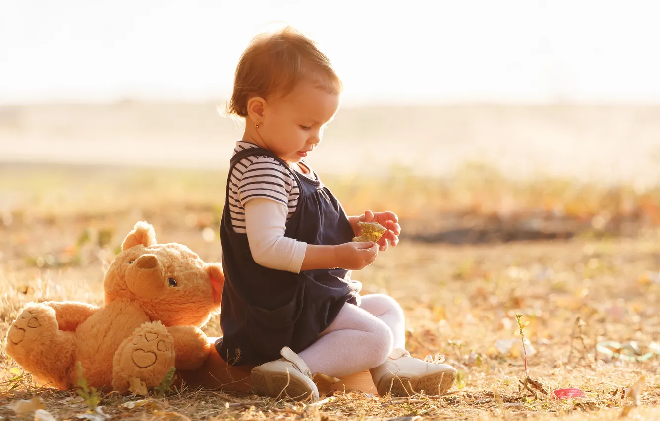 Фото обои осень, игрушка, девочка, ребёнок, плюшевый мишка
