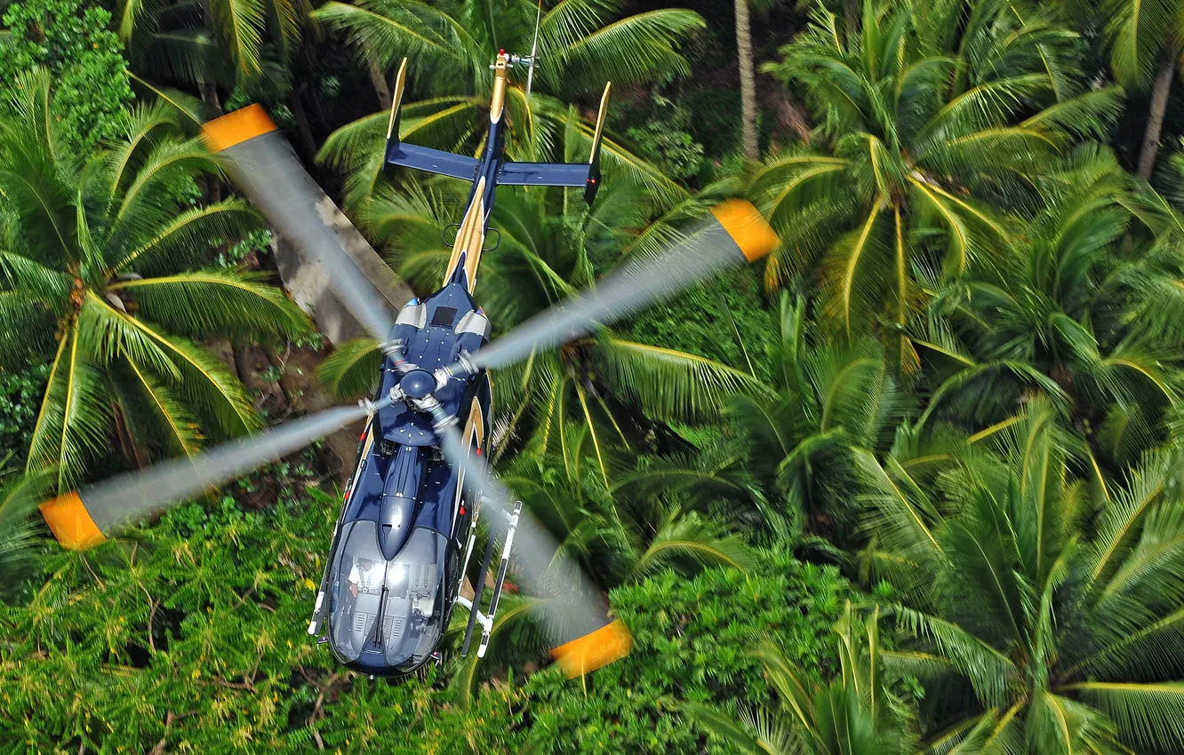 Фото обои джунгли, полёт, вертолёт, лопасти, многоцелевой, Eurocopter, EC145