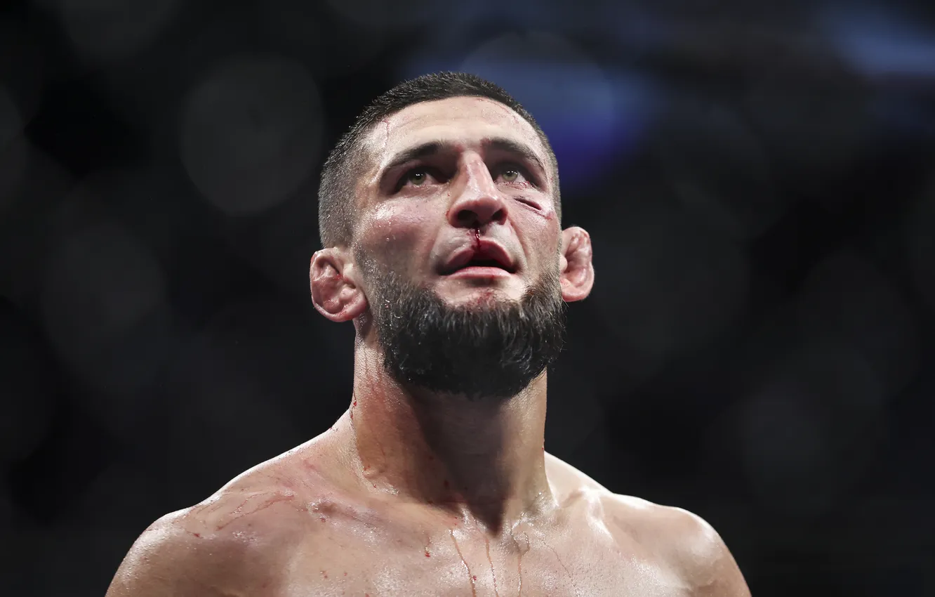 Фото обои UFC, Khamzat Chimaev, Хамзат Чимаев