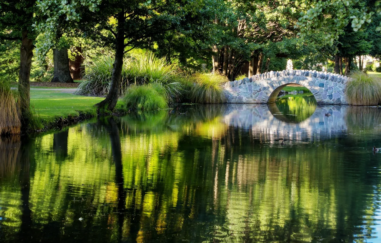 Фото обои трава, деревья, мост, парк, ручей