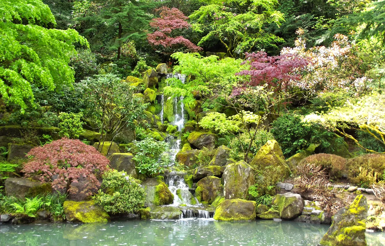 Фото обои деревья, пруд, камни, водопад, мох, сад, кусты