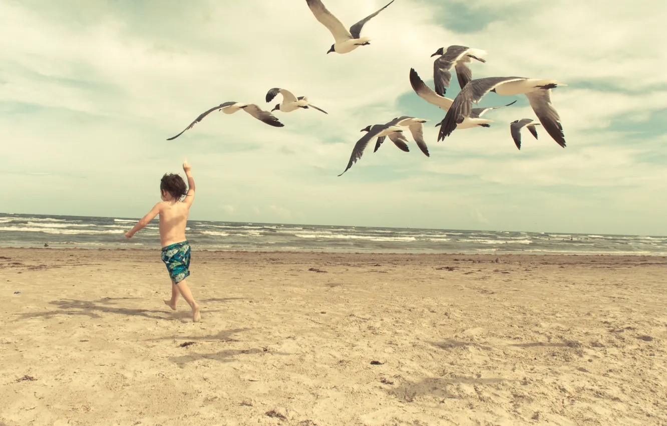 Фото обои волны, пляж, чайки, ребенок, waves, beach, child, seagulls
