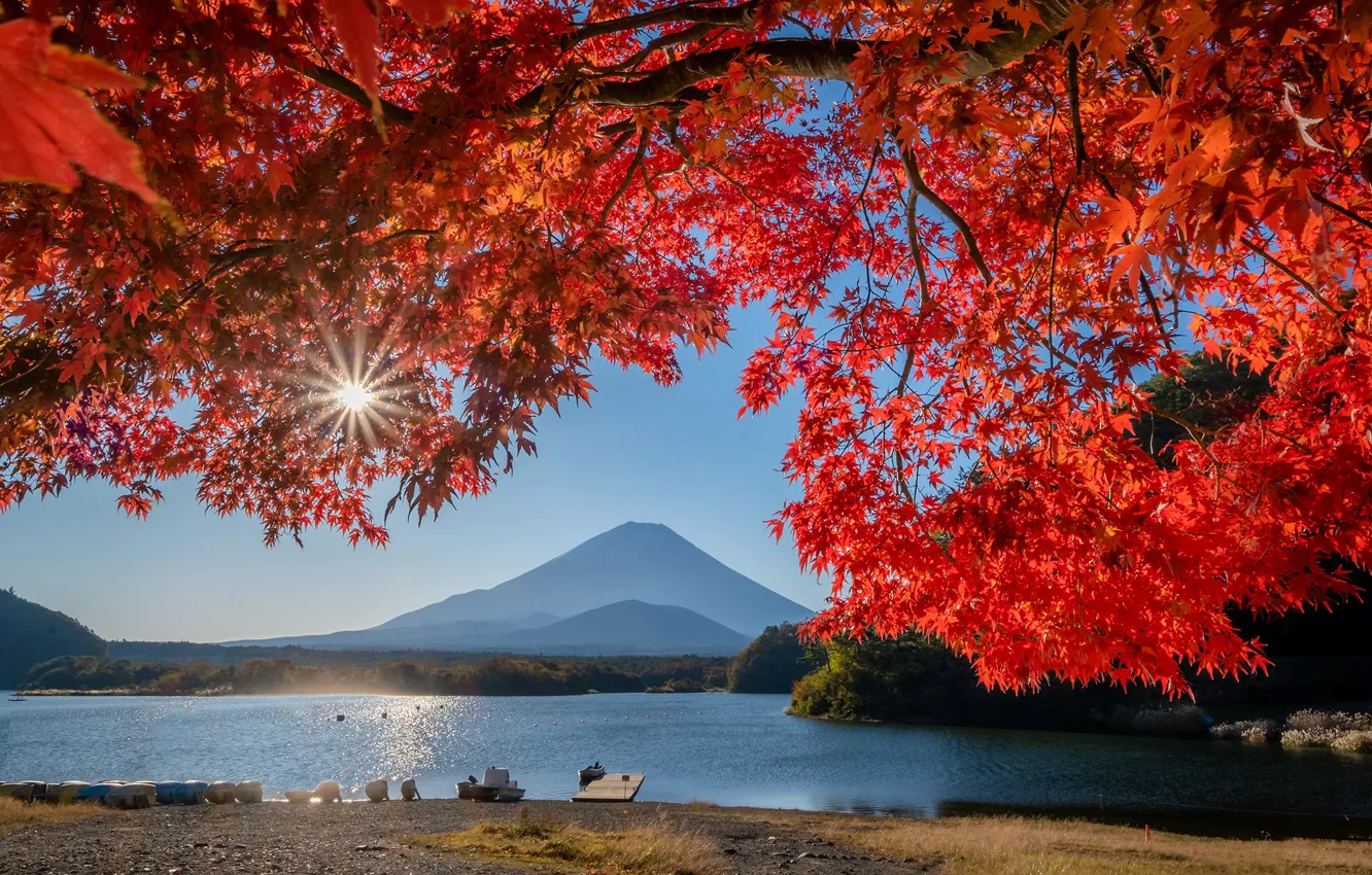 Фото обои осень, листья, озеро, Япония, гора Фудзи