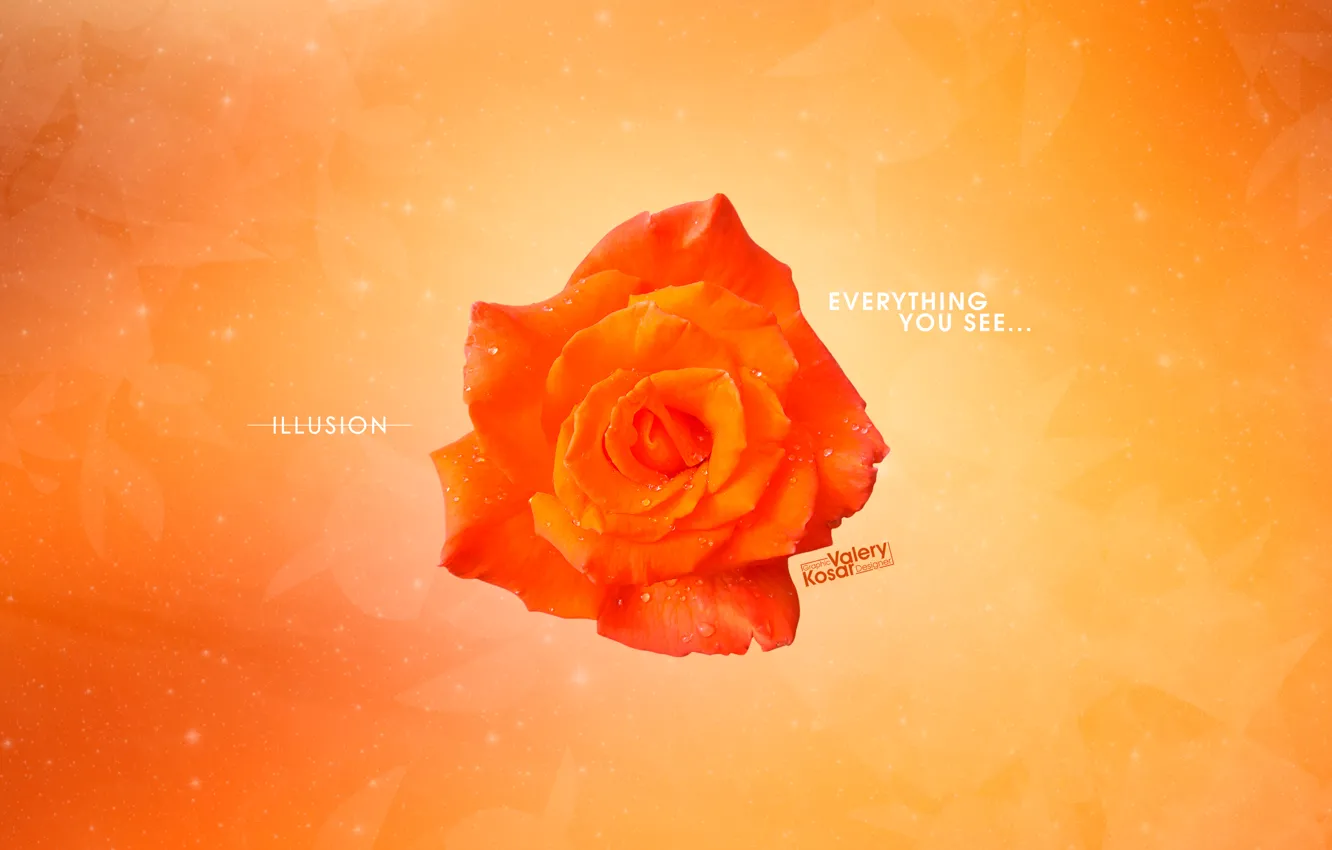 Фото обои цветы, оранжевый, абстракция, роза