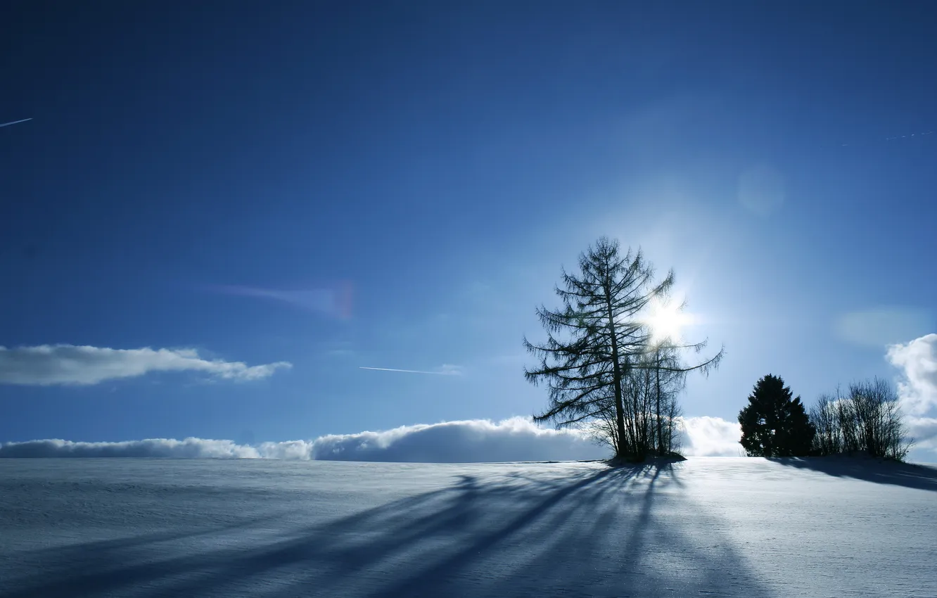 Фото обои зима, небо, снег, пейзаж