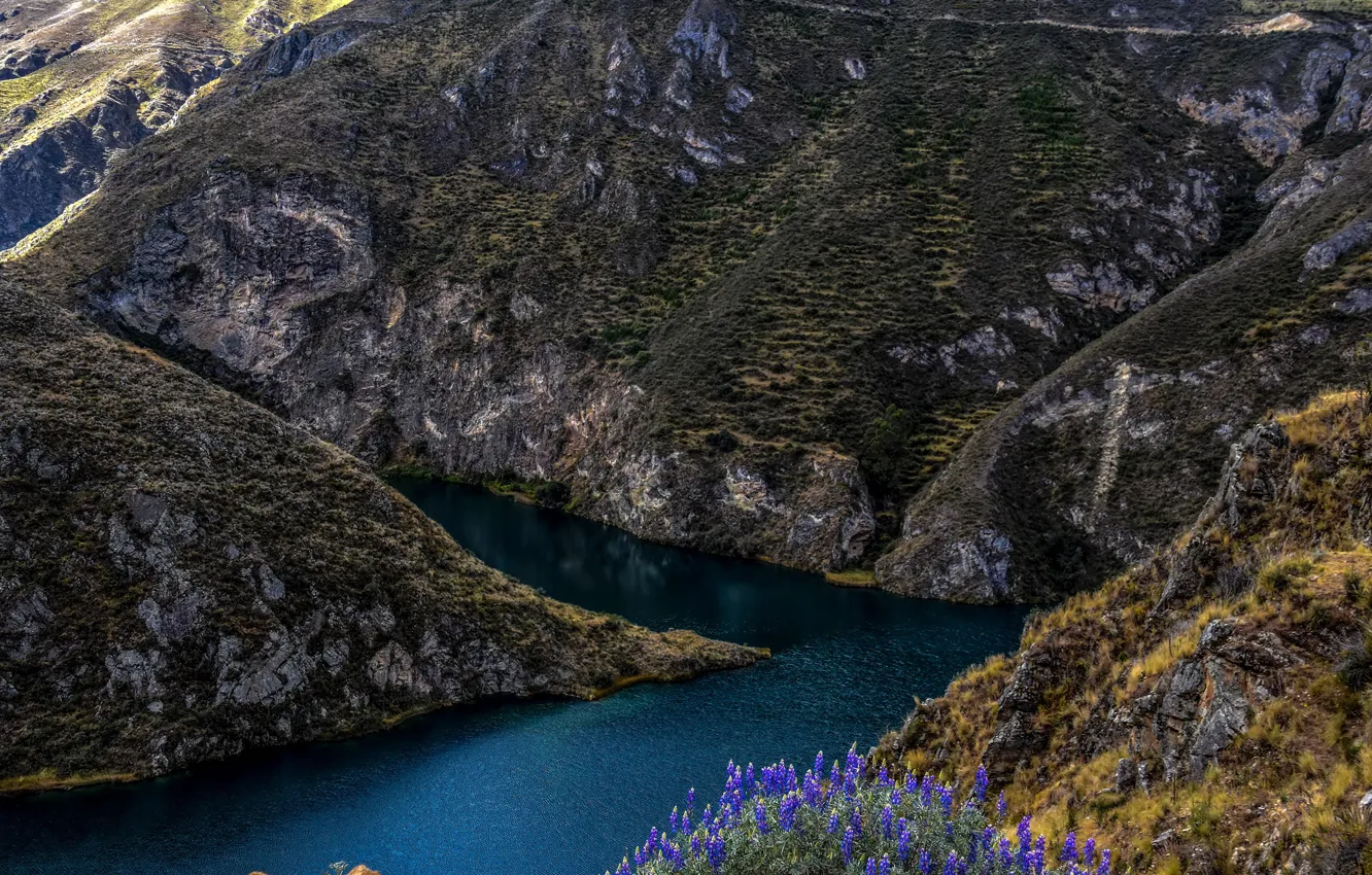 Фото обои цветы, река, камни, скалы, Перу, Huancaya