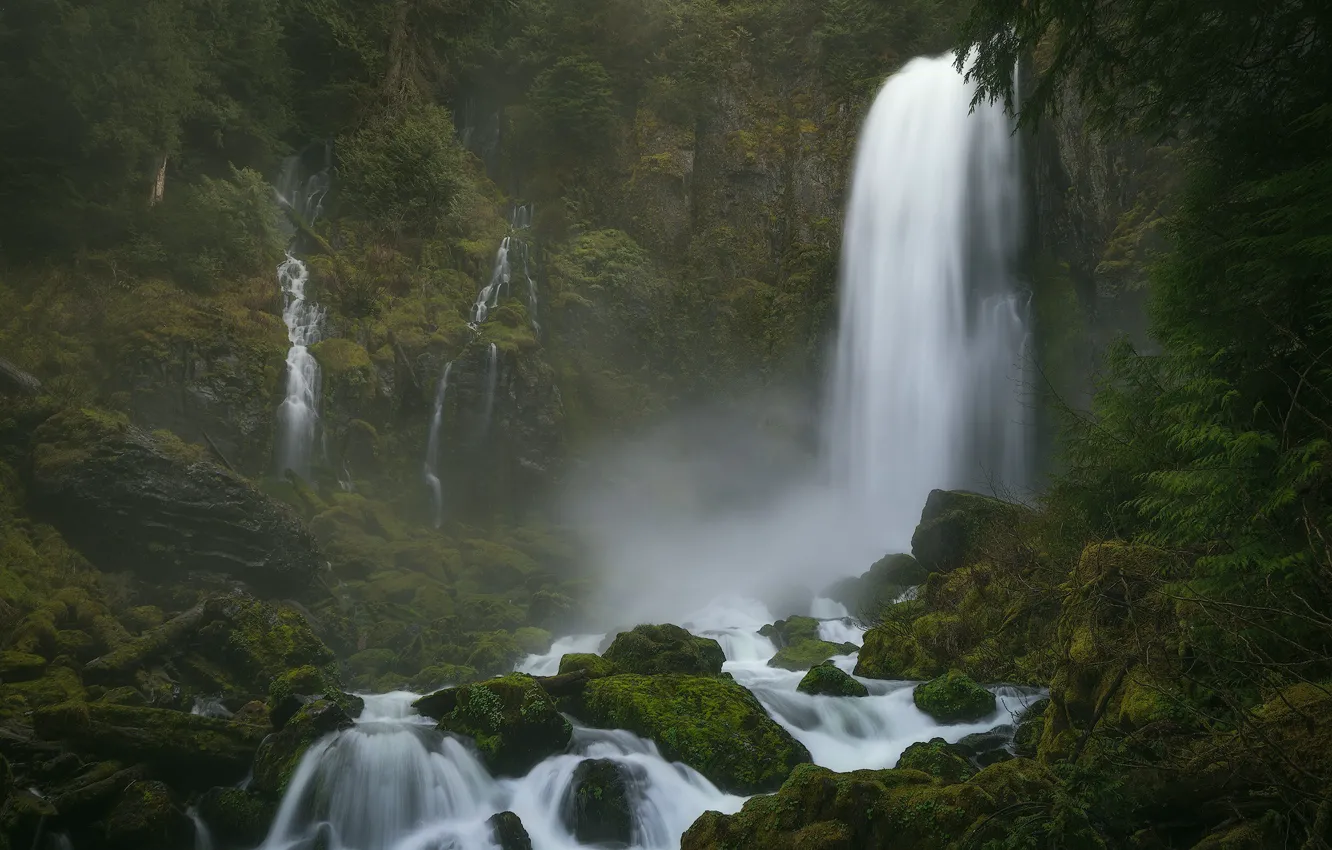 Фото обои лес, камни, мох, водопады, Columbia River Gorge, Washington State, Ущелье реки Колумбия, Штат Вашингтон