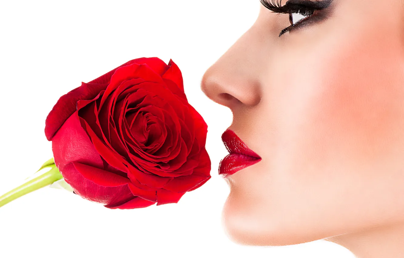 Фото обои цветок, девушка, лицо, роза, макияж