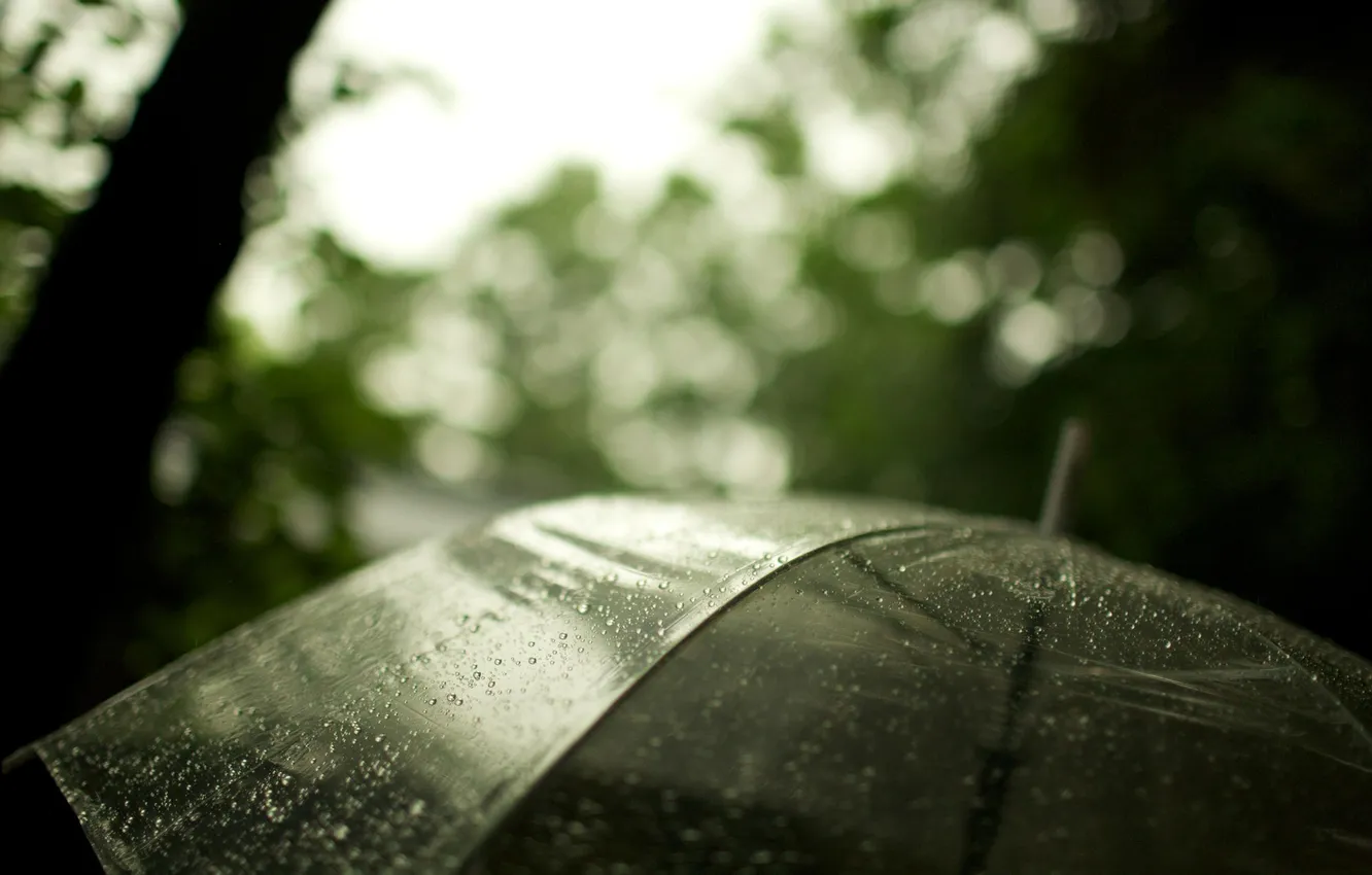 Фото обои макро, дождь, зонт, 2560х1600