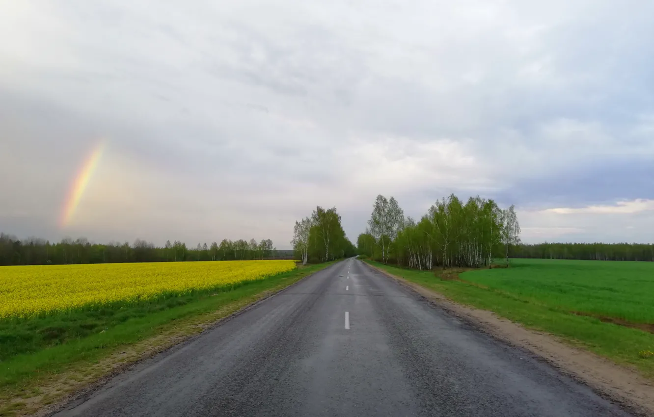Фото обои дорога, поле, небо, радуга, весна, рапс