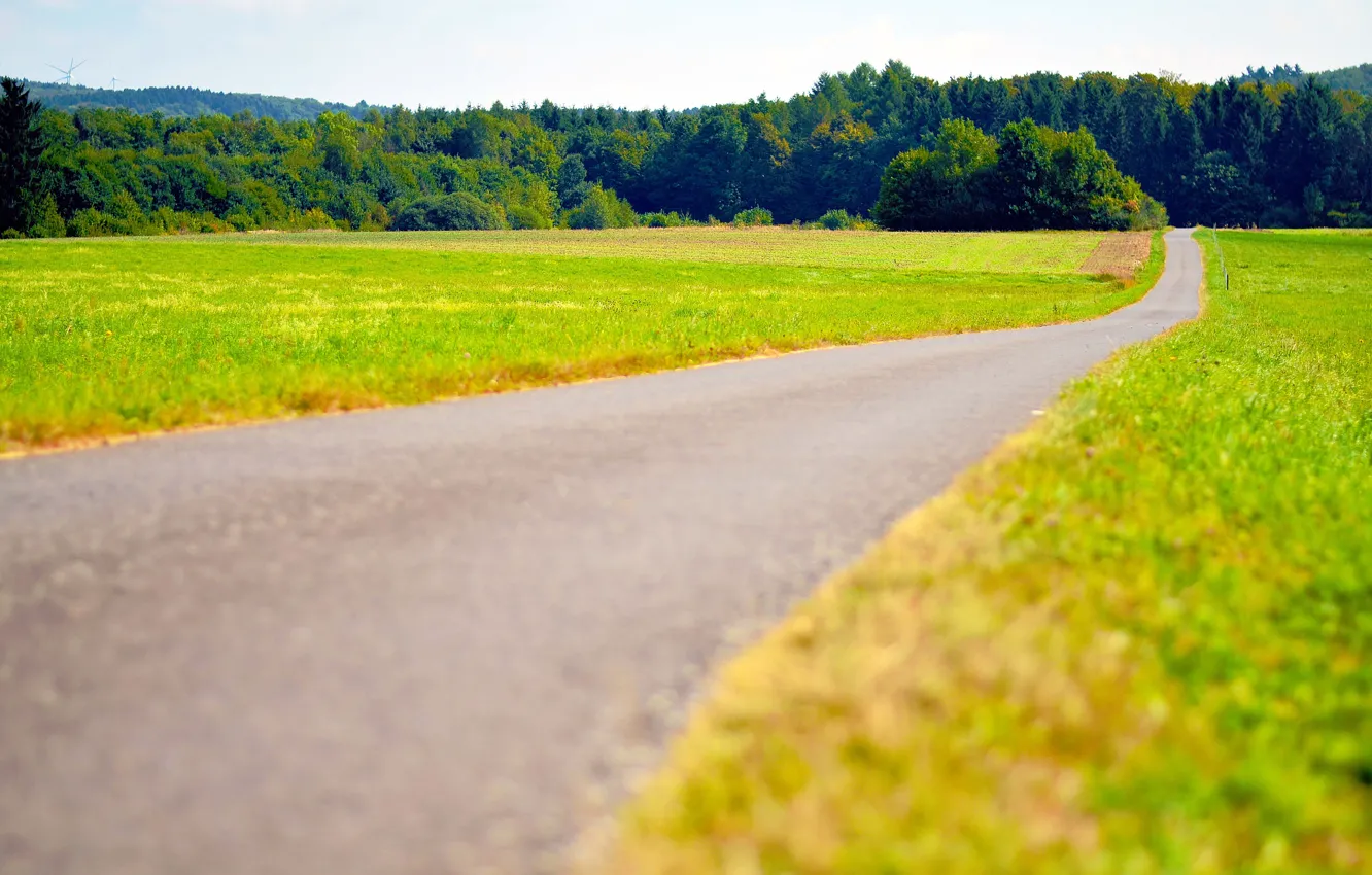 Фото обои sunny, road, woodland, field, grass, countryside