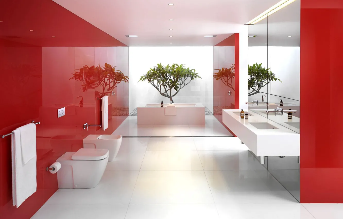 Фото обои белый, красный, отражение, растение, ванная, зеркала