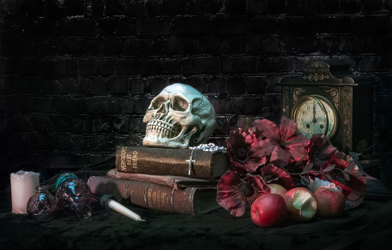 Фото обои яблоки, книги, череп