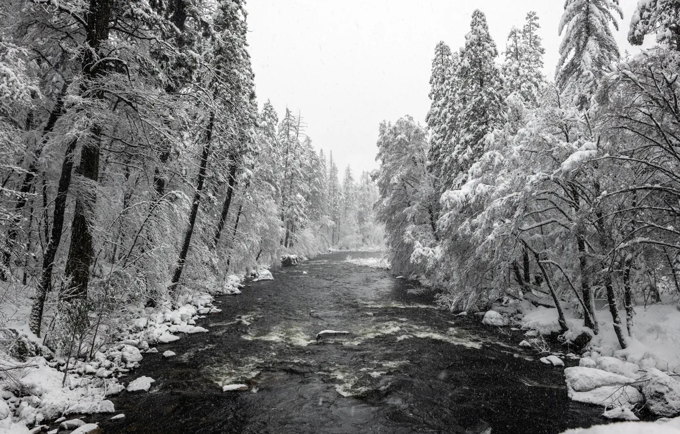 Фото обои United States, California, Yosemite National Park, Merced River, Mariposa
