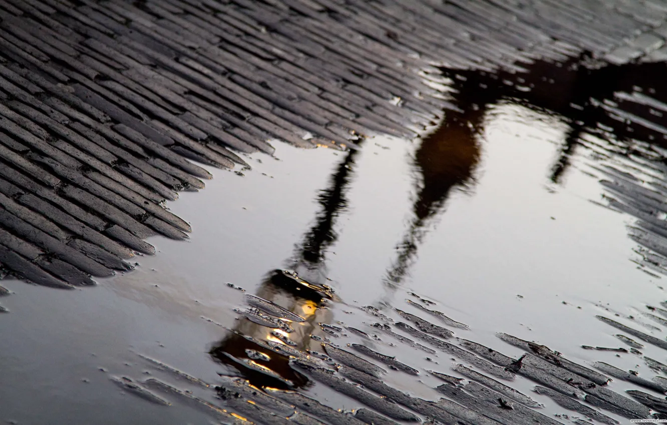 Фото обои отражение, дождь, лужа, фонарь, мостовая