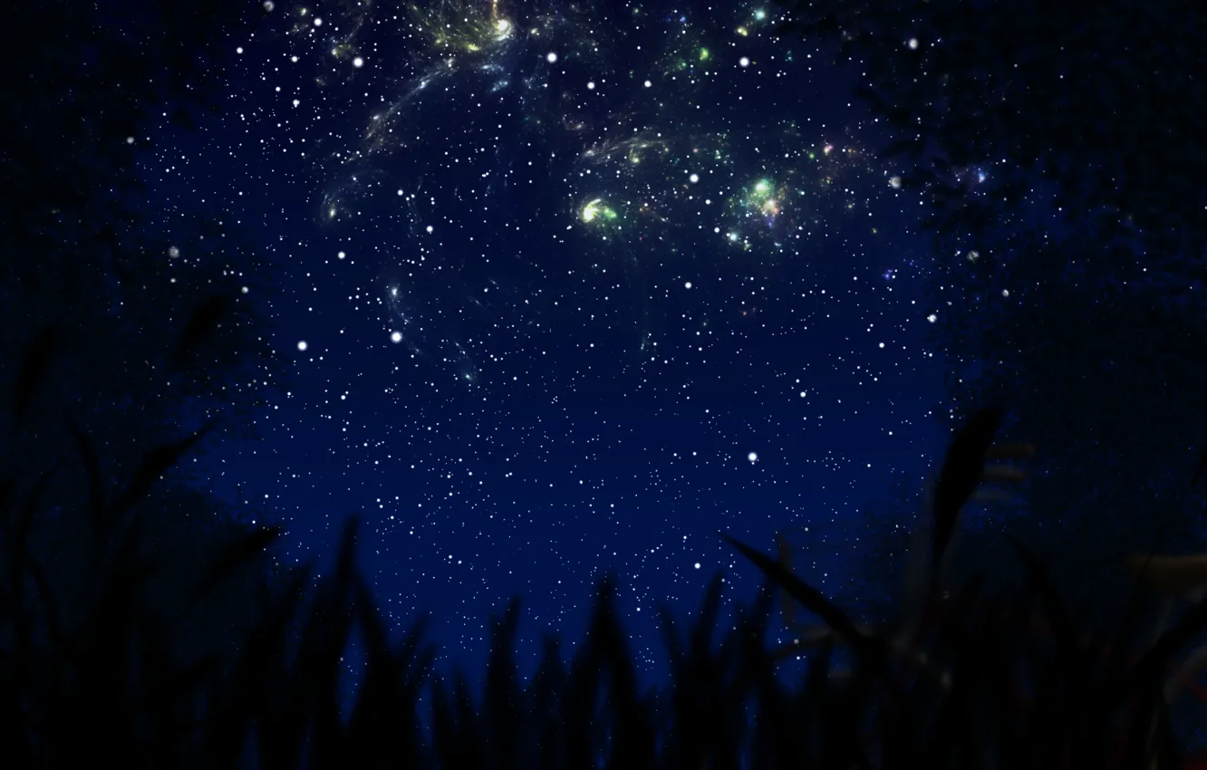 Фото обои небо, ночь, природа