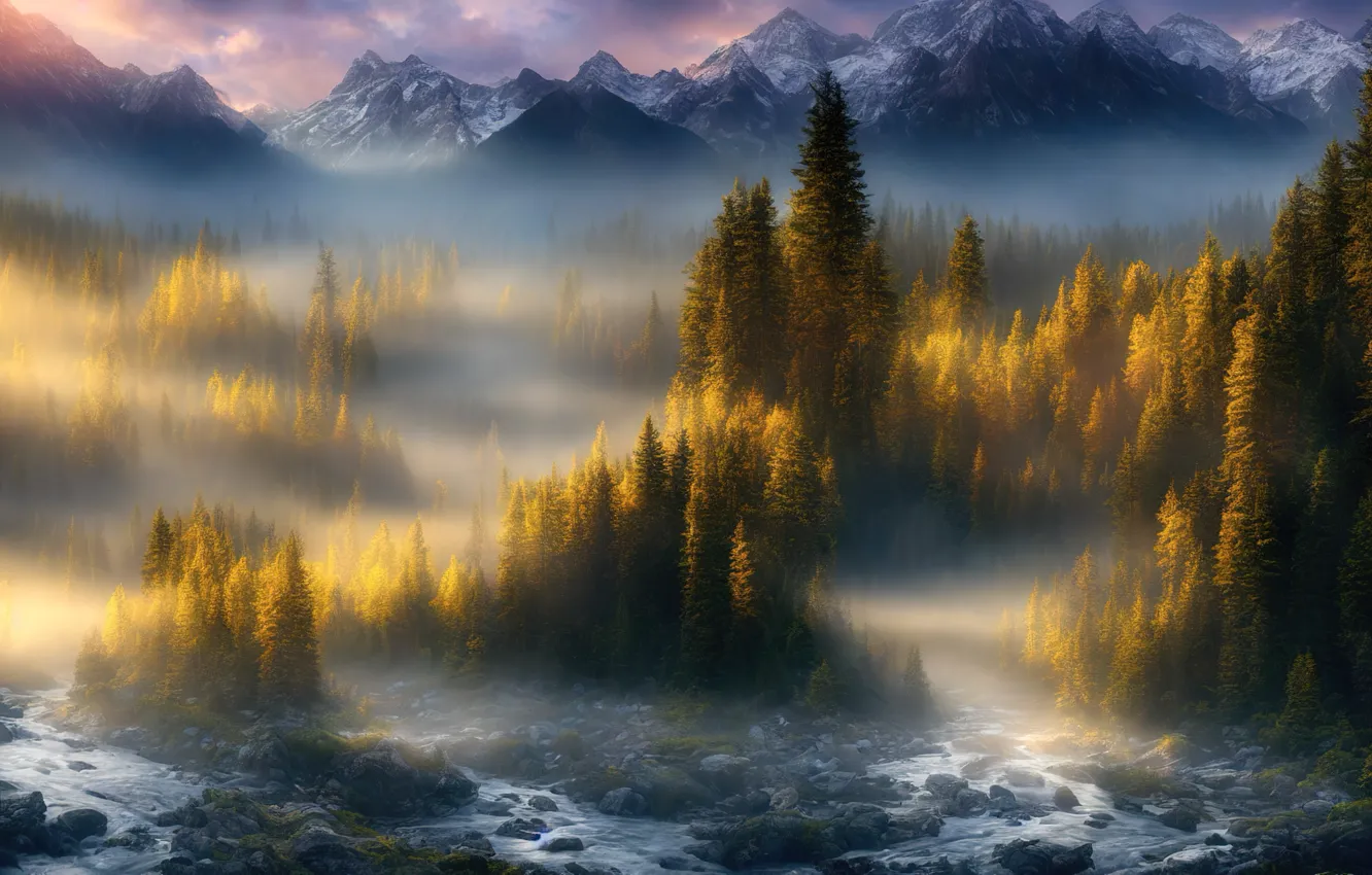 Фото обои осень, лес, свет, горы, природа, туман, река, камни