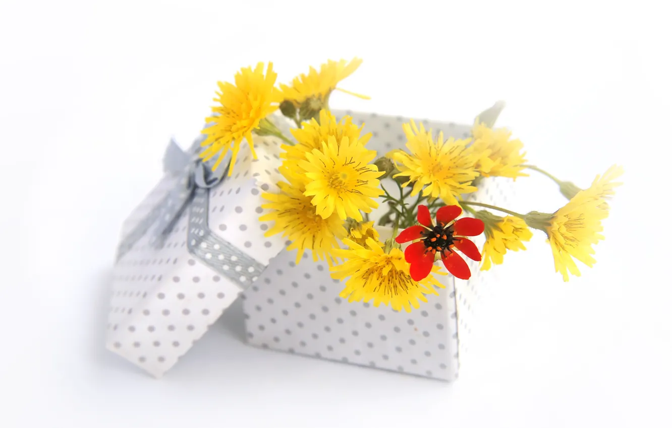 Фото обои цветы, коробка, подарок, букет
